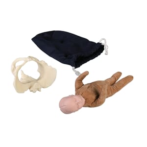 Kvinnelig mini bekken m/ stoffdukke