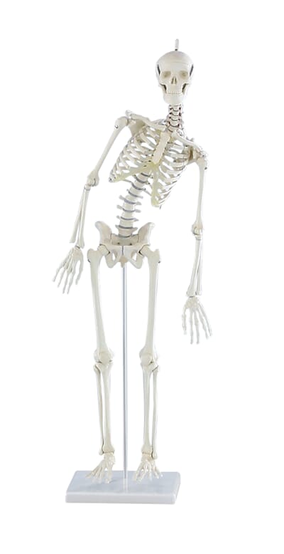 111101 111101_2.jpg