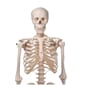 A10_Rel A10_2.JPG