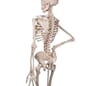 A10_Rel A10_7.JPG