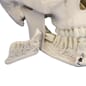 8076_Rel 8076_3.jpg