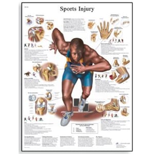 Plakat anatomisk "Sports skader" 50x67cm