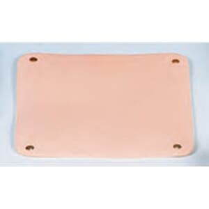 Hudlapp for R16604