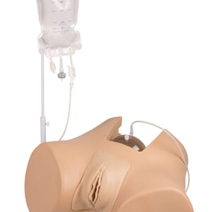 Kateteriseringssimulator "Florence", kvinne