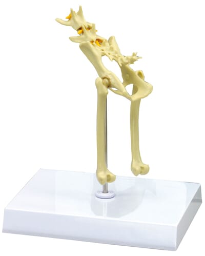 VET9160 VET9160_1.jpg